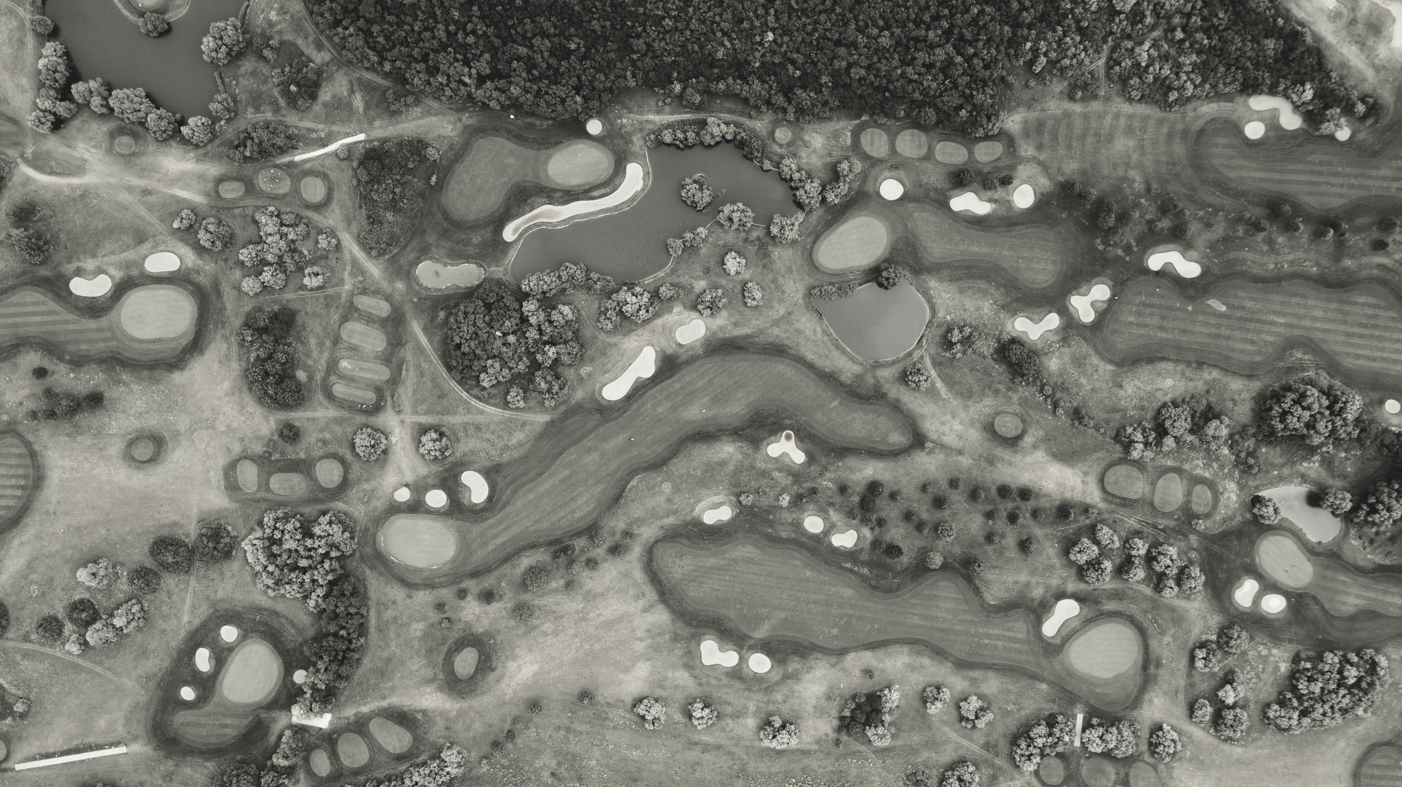 GolfGo background